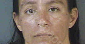 <B>ROBLES</B>,<B>JULIE</B> <B>ANN</B> #, Collier County, Florida - 2021-02-24