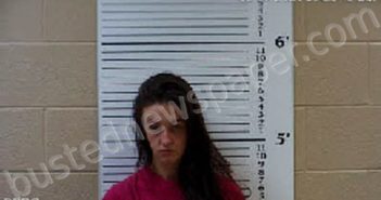 KILPATRICK, MEGAN CHEYENNE | 2021-02-27 08:22:00 Cherokee County, North Carolina Booking