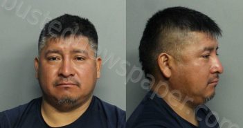 VICENTEHERNANDEZ, ELADIO GAMALIEL | 2021-02-28 02:36:00 Miami-Dade County, Florida Booking