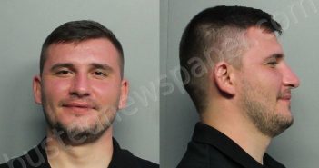 NETEDA, ANATOLIS | 2021-02-28 02:47:00 Miami-Dade County, Florida Booking