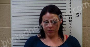 BEGLEY, TATIANA RAE | 2021-02-28 20:45:00 Cherokee County, North Carolina Booking