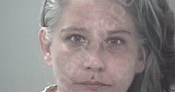 <B>JOSEFOWITZ</B>, <B>MICHELLE</B> <B>DEANNE</B> #, Pasco County, Florida - 2021-03-01 01:36:00