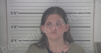 HAMLIN, KRYSTAL GAIL | 2021-03-01 13:36:00 Campbell County, Kentucky Booking