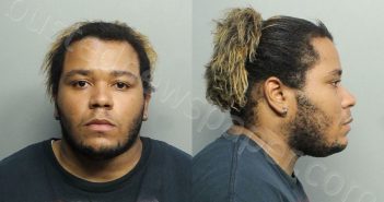 EVANS, JAMARCUS KENDRELL | 2021-03-01 16:17:00 Miami-Dade County, Florida Booking