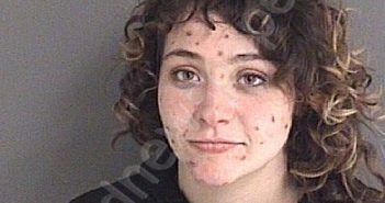 FOGLEMAN, MELISSA JO | 2021-03-01 Story County, Iowa Booking