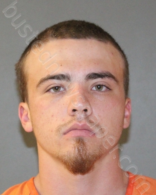 ROMANELLI,DANNIELL #, Titus County, Texas - 2021-03-02