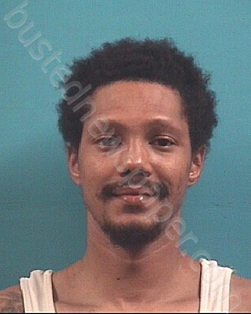 HARRISON, JUSTIN CHARLES #, Brazoria County, Texas - 2021-03-03