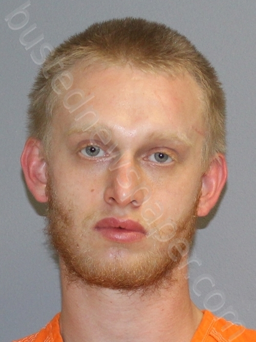ADAMS,BRIAN CHRISTOPHER #, Wilson County, Texas - 2021-03-05