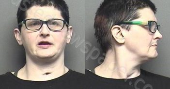 JOHNSON,DENISE MICHELLE | 2021-03-06 21:35:00 Saline County, Kansas Booking