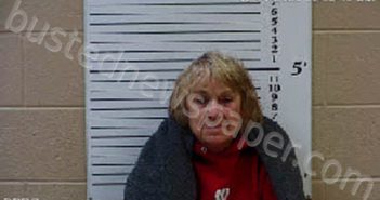 KINSEL, SUZANNE | 2021-03-07 22:53:00 Cherokee County, North Carolina Booking