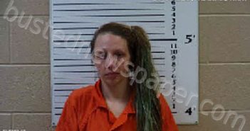 FARMER, KYNDRA NICOLE | 2021-03-08 14:12:00 Cherokee County, North Carolina Booking