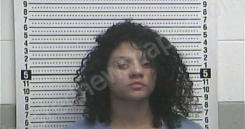HENRY, LEANDRA J | 2021-03-10 17:34:00 Casey County, Kentucky Booking