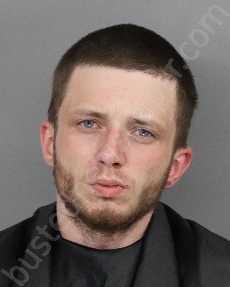 MALONE, JOHN DYLAN #, Anderson County, South Carolina - 2021-03-10 05:39:00