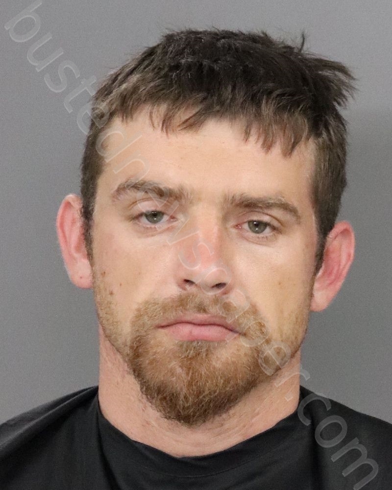 CROWE, MATTHEW BRANDON #, Anderson County, South Carolina - 2021-03-10 06:03:00