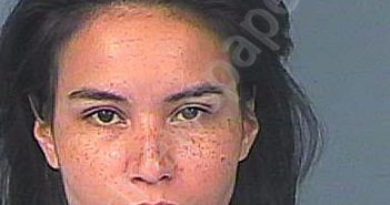 SALINAS, MERCEDES AMBER | 2021-03-12 04:04:00 Hernando County, Florida Booking