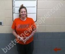 ANNA HILL | 2021-03-13 16:06:00 Morgan County, Tennessee Booking
