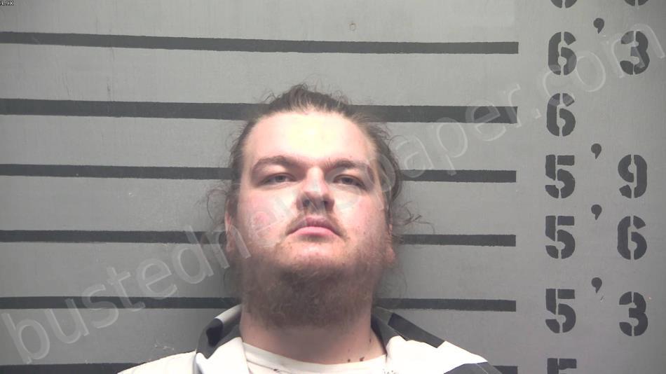 ALSHIRE, CHADRICK RAY #, Hopkins County, Kentucky - 2021-03-13 19:51:00