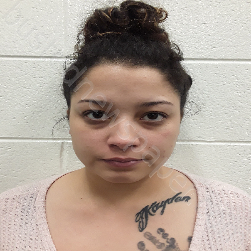 CHANDLER, CHRISTINA JOANN #, Monroe County, Tennessee - 2021-03-14 10:18:00
