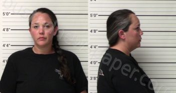 BAGLEY, TAMARA AMBER | 2021-03-14 Kerr County, Texas Booking