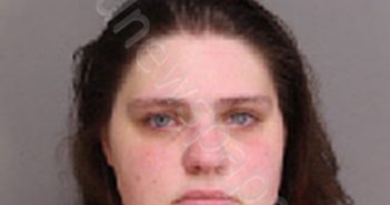 BRANDON, ELEANOR ADELINE | 2021-03-14 17:32:00 Florence County, South Carolina Booking