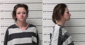 KRUGER, GEORGIA LEE | 2021-03-14 Kerr County, Texas Booking
