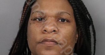 ELLIS, LATOYA KIZYA | 2021-03-16 15:59:00 Anderson County, South Carolina Booking