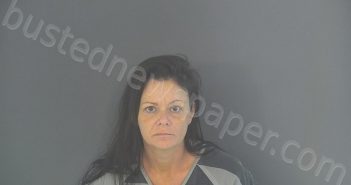 LAWSON, ANGILA DAWN | 2021-03-17 01:18:00 Shelby County, Indiana Booking