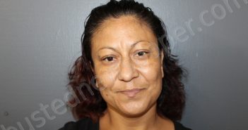 RODRIGUEZ, THERESA LEE | 2021-03-17 01:15:00 Hardee County, Florida Booking