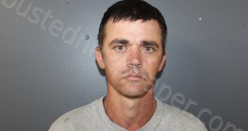 YOUNGBLOOD, DARREN | 2021-03-17 09:48:00 Hardee County, Florida Booking