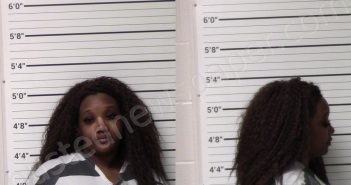 BROWN, KEANNA RENEE | 2021-03-17 Kerr County, Texas Booking