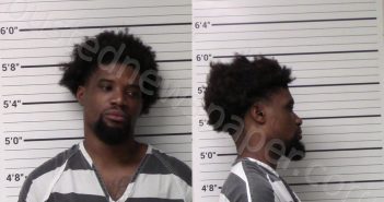 BROWN, ANTHONY TYRON | 2021-03-17 Kerr County, Texas Booking
