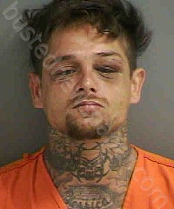 SNYDER,JUSTIN CHARLES | 2021-03-18 Collier County, Florida Booking