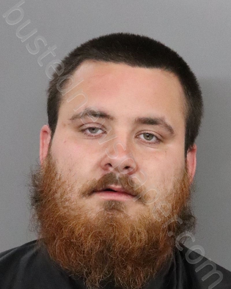 MASSEY, CHRISTOPHER DALE #, Anderson County, South Carolina - 2021-03-18 13:00:00