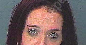 COOK-MCMAHON, TONIANN MARIE | 2021-03-18 06:53:00 Hernando County, Florida Booking