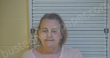 CLEMENTS, MELISSA SUE | 2021-03-21 15:10:00 Taylor County, Kentucky Booking