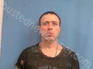 WILLIAM CHARLES FRENCH | 2021-03-22 15:47:00 Stone County, Arkansas Booking