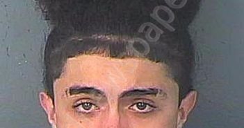 MESTRE, GLENN | 2021-03-23 03:55:00 Hernando County, Florida Booking