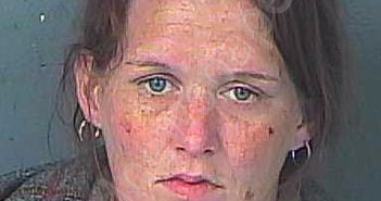 LOGAN, BRITTANY MAY | 2021-03-23 05:31:00 Hernando County, Florida Booking