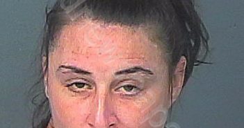 FRANK, ERIN HOLLAND | 2021-03-23 02:17:00 Hernando County, Florida Booking