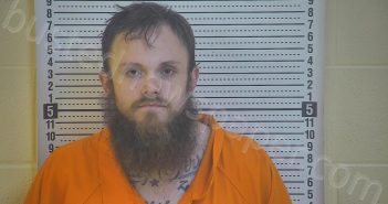 STEWARD, WILLIAM DALTON | 2021-03-24 05:38:00 Taylor County, Kentucky Booking