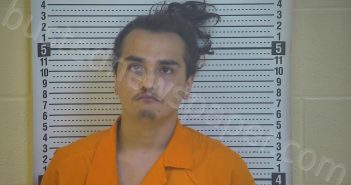 HERNANDEZ, DILLIN | 2021-03-24 00:42:00 Taylor County, Kentucky Booking