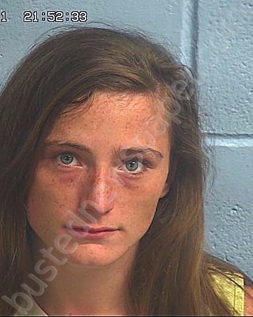 DEAL, SHEYANNA MARIE #, Etowah County, Alabama - 2021-03-24 22:08:16