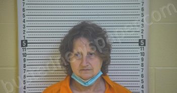 SKAGGS, ELIZABETH ANN | 2021-03-25 19:11:00 Taylor County, Kentucky Booking