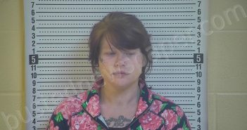 DICKENS, DELANA D | 2021-03-25 08:46:00 Taylor County, Kentucky Booking