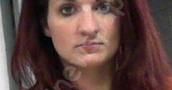 SEES, ANDREA LEE | 2021-03-26 17:33:00 Wood County, West Virginia Booking