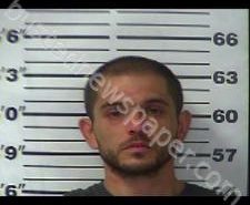 <B>RICKY</B> WHITE #, <b>Gibson</b> County, Tennessee, Gibson County, Tennessee - 2021-03-26 17:52:00