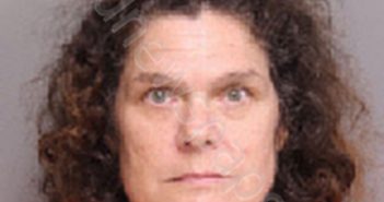 RICHARDSON, DONNA LYNN | 2021-03-27 11:23:00 Florence County, South Carolina Booking