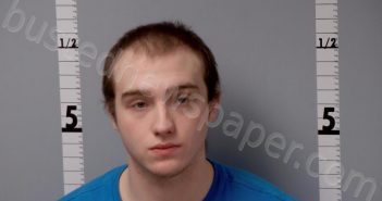 WALKER, XAVIER MICHAEL | 2021-03-29 16:35:00 Gratiot County, Michigan Booking