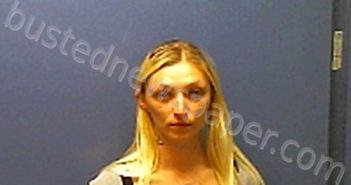 YOUNG TONIA FAYE | 2021-03-30 Huron County, Ohio Booking