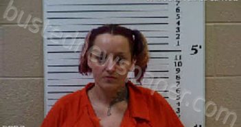 JOHNSON, AMBER NICOLE | 2021-03-31 19:18:00 Cherokee County, North Carolina Booking